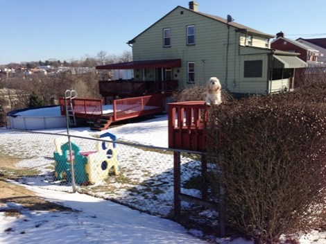 The Fresh Prince of Bon Air - chilling out, maxing, relaxing all cool