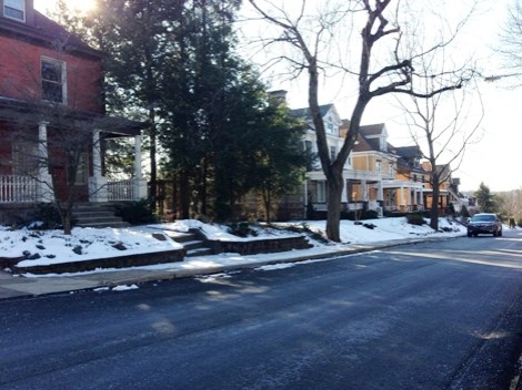 Bon Air Avenue lined with large family homes across the street from a steep wooded hillside looming above McKinley Park in Beltzhoover.